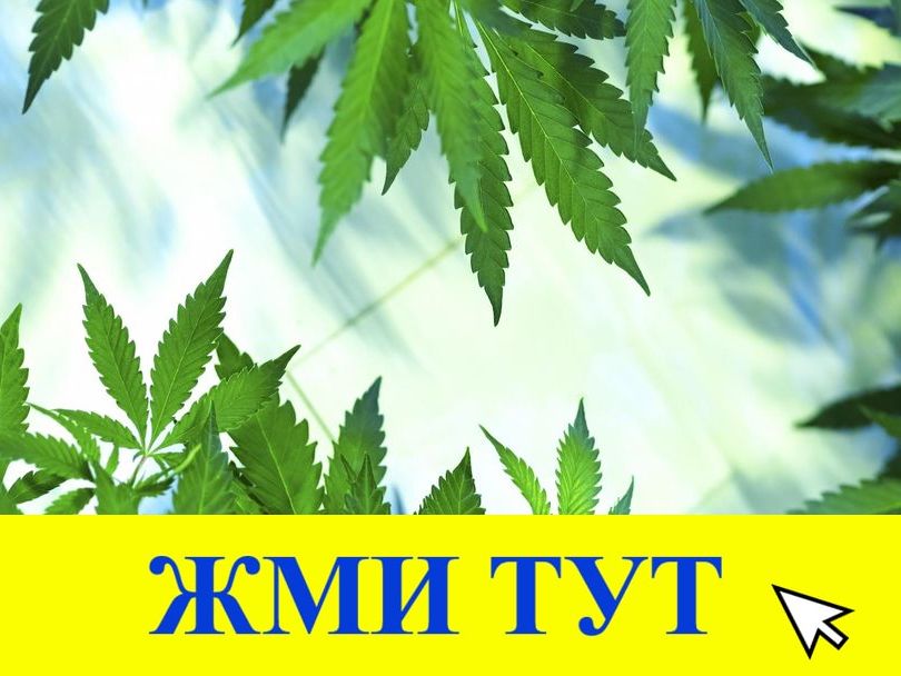 Купить наркотики в Минусинске